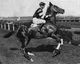 Phar Lap