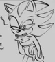 SHADOW THE HEDGEHOG 
