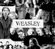 Weasley family 