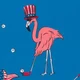 Frankie the Flamingo