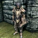 The dragonborn