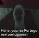 Portuguese kitty