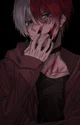 Villain todoroki