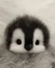 Baby penguin