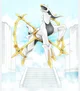 Arceus
