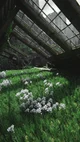 PJO x Dreamcore 
