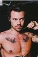 Harry Styles 