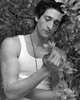 ADRIEN BRODY