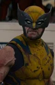 Wolverine