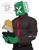MS Excel 