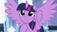 Twilight Sparkle