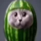 watermelon cat