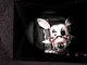 Mangle - FNAF 2
