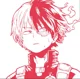 Shoto Todoroki