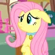 Fluttershy
