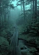 Urbex Horror