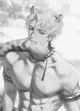 SINBOUND Leopard