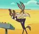 Wile E - Wabbit