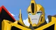 Bumblebee-RID