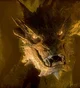 Smaug