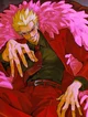Doflamingo