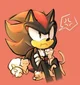Shadow The Hedgehog 