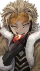 Villain hawks
