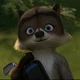 Rj raccoon