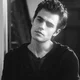 - stefan salvatore