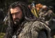 Thorin Oakenshield 