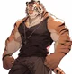 Furry - tiger