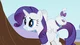 Rarity