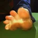 Friend Feet