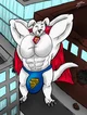 Macro Muscke Krypto