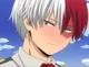 Shoto Todoroki 