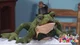 Friendship Frog- WWE