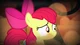 Apple Bloom