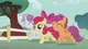 Cutie Mark Crusaders