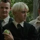 Draco