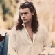harry styles 