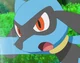 Max the Riolu