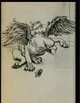 A Griffin