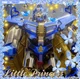 Sentinel Prime_TFO