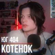 Коля Юг404
