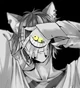 The Cheshire Cat
