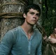Thomas - Maze Runner