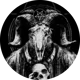 Evil Goat