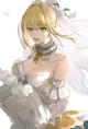 Fate Grand Wedding 