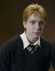 Fred G Weasley 