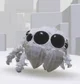 Cute Jumping Spider